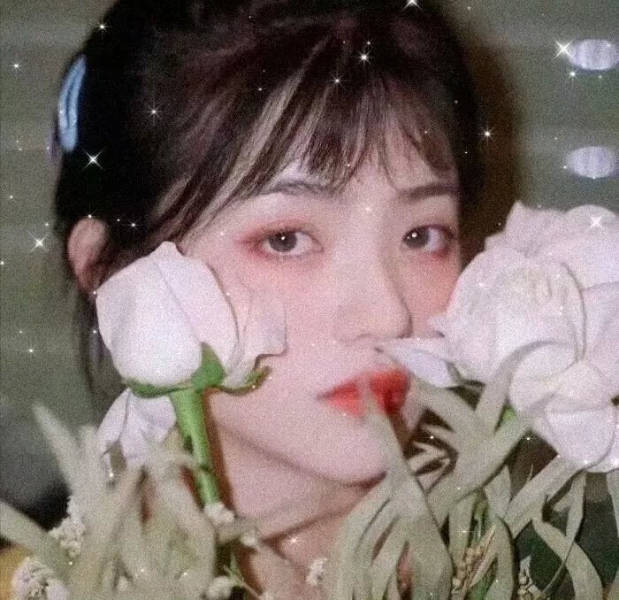 画中仙